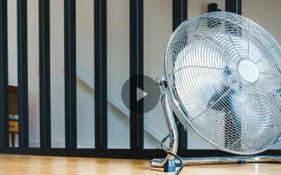 En période de forte canicule, ai-je le droit de ne pas venir au travail ?